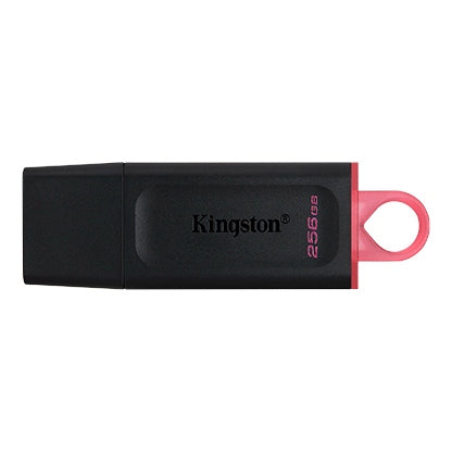 Kingston USB 256GB Usb 3.2 | DTX/256GB
