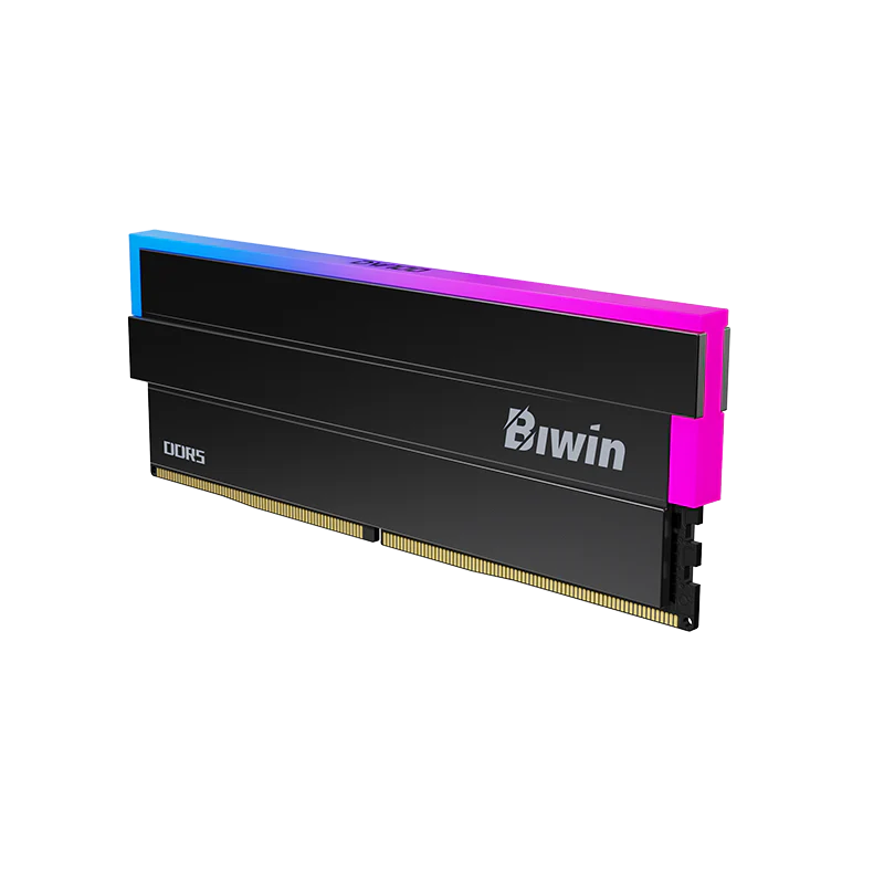 Biwin Black Opal DW100 DDR5 RGB RAM 32GB (16GBx2) 6000MHz CL36 Computer Memory Intel XMP 3.0 AMD EXPO Compatible-Black