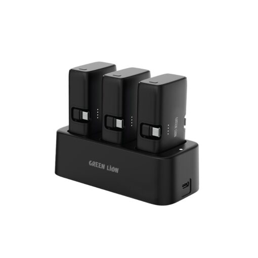 Green Lion 3 In 1 Power Bank Station