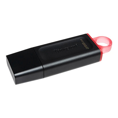 Kingston USB 256GB Usb 3.2 | DTX/256GB