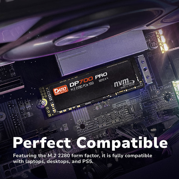 DATO DP700 PRO 512GB M.2 2280 PCIe Gen3x4 NVMe SSD