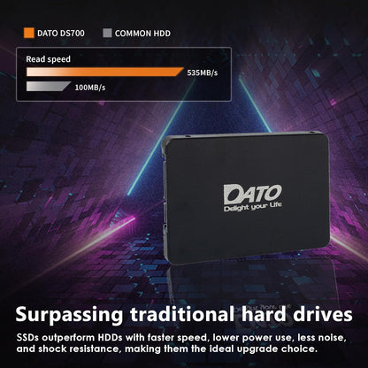 DATO DS700 256GB 2.5″