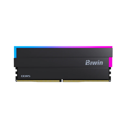 Biwin Black Opal DW100 DDR5 RGB RAM 32GB (16GBx2) 6000MHz CL36 Computer Memory Intel XMP 3.0 AMD EXPO Compatible-Black