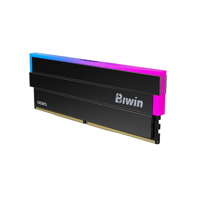 Biwin Black Opal DW100 DDR5 RGB RAM 32GB (16GBx2) 6000MHz CL36 Computer Memory Intel XMP 3.0 AMD EXPO Compatible-Black