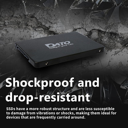 DATO DS700 256GB 2.5″