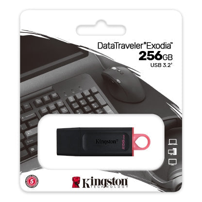 Kingston USB 256GB  Usb 3.2 | DTX/256GB