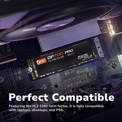 DATO DP700 PRO 512GB M.2 2280 PCIe Gen3x4 NVMe SSD