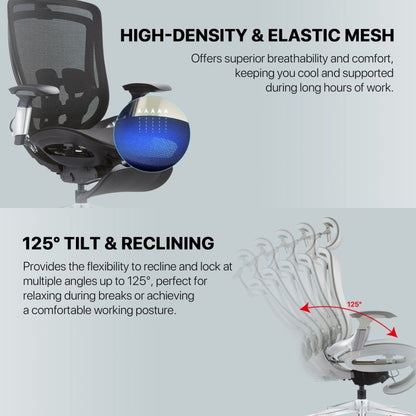 FANTECH OC2 Advanced Ergonomic Mesh Chair with Customizable Comfort Black