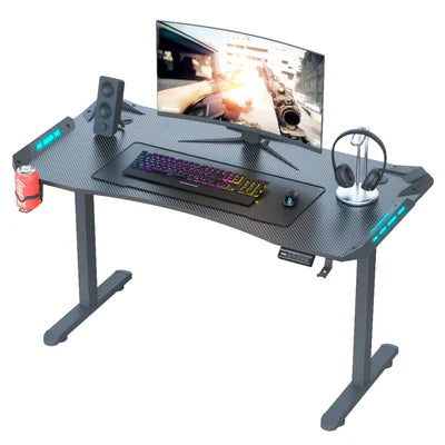 AY Ergonomic Electric Height Adjustable RGB Gaming Sit-Stand Desk 120CM
